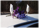 Wedding Champagne Flutes on Limo Roof